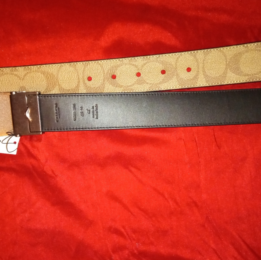 Coach belt